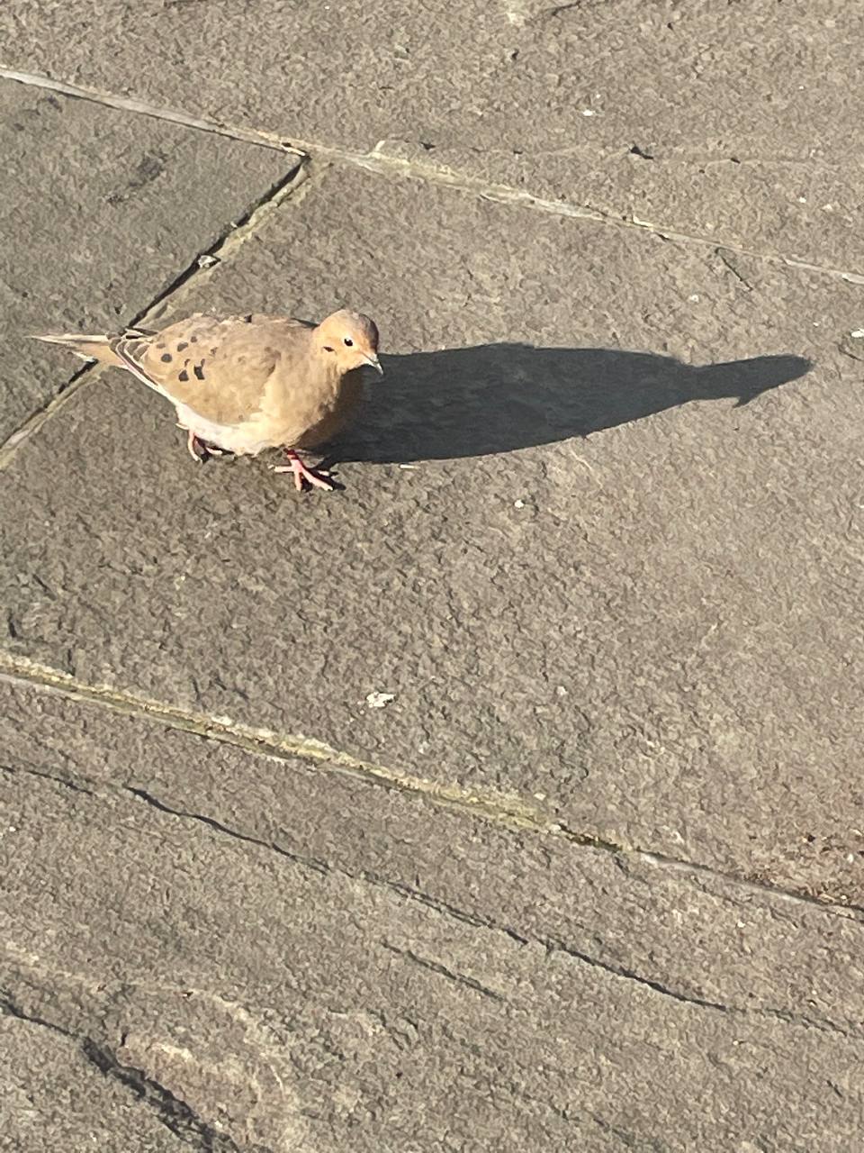 photo_2023-02-20 21.40.30.jpeg